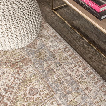 Darija Ornate Geometric Medallion Area Rug